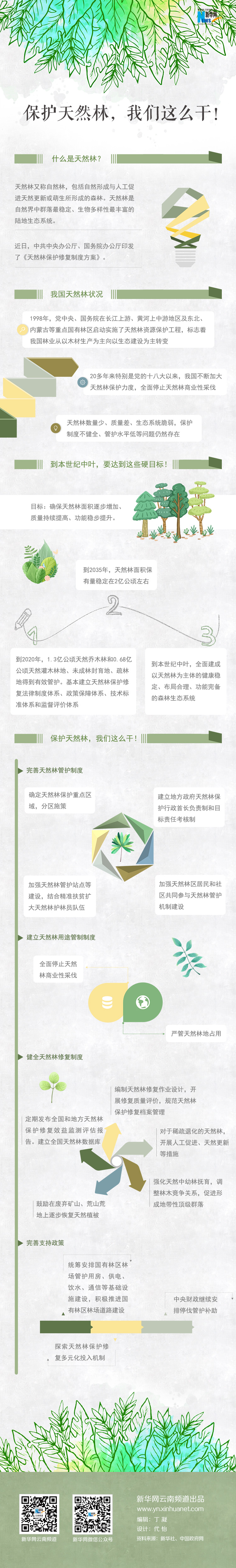 2020年國家公務員考試時政：保護天然林，我們這么干！